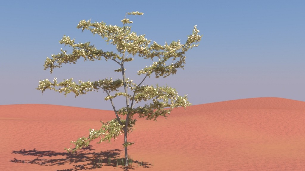 Tree