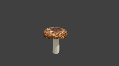 Mushroom