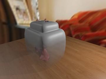 Disappearing Act