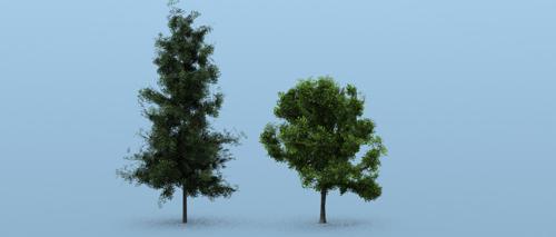 Trees