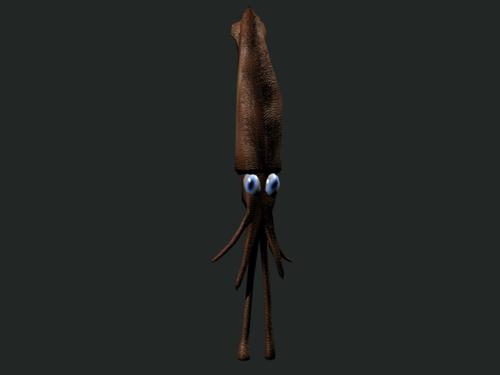 Squid Rigged &amp; Animated