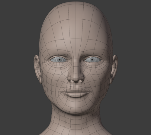 Head Base Mesh V1.2