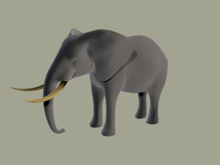 African Elephant
