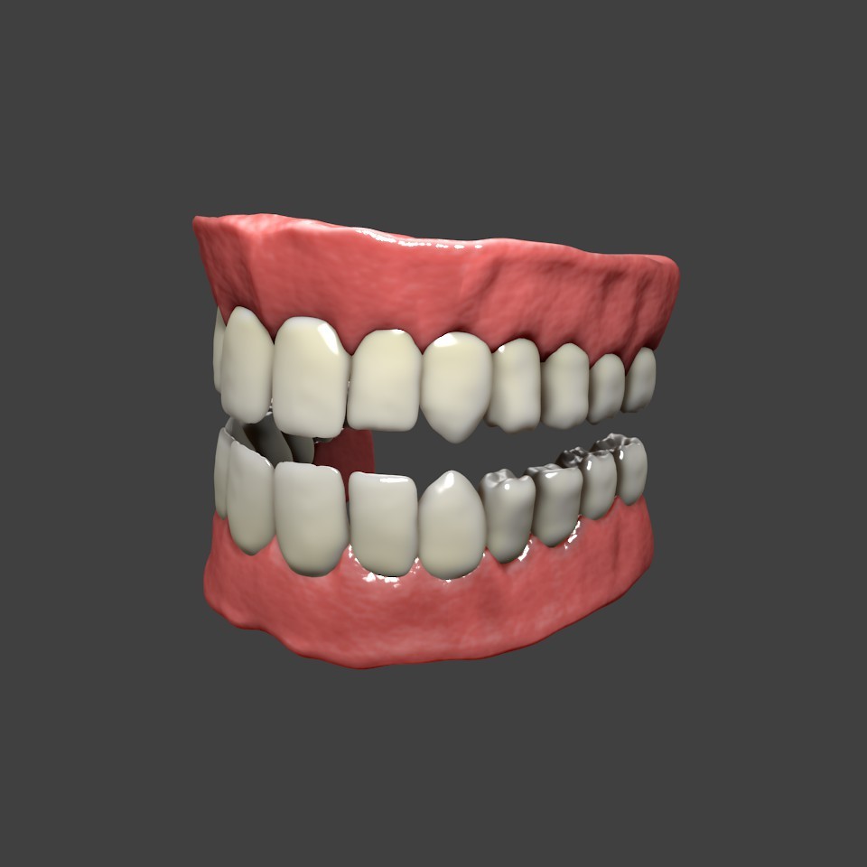 High Poly Teeth And Gums