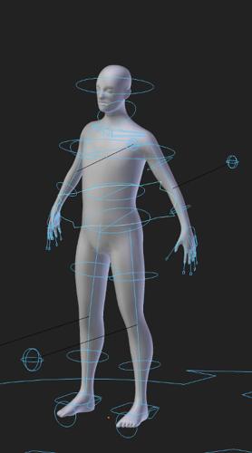 BaseMesh Rigged.