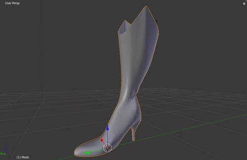 Cowgirl Boot