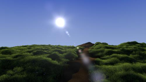 Hill Scene