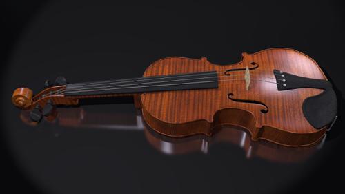 Violin