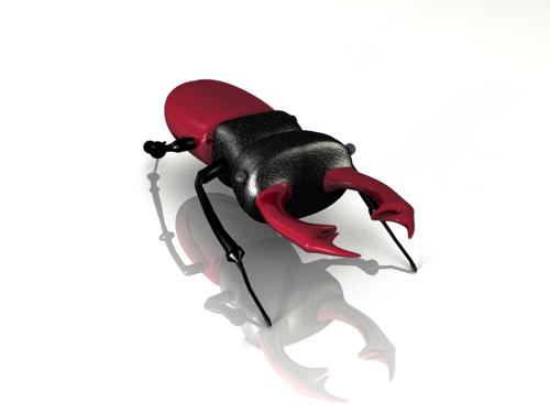 Beetle