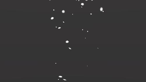 Snow Flake