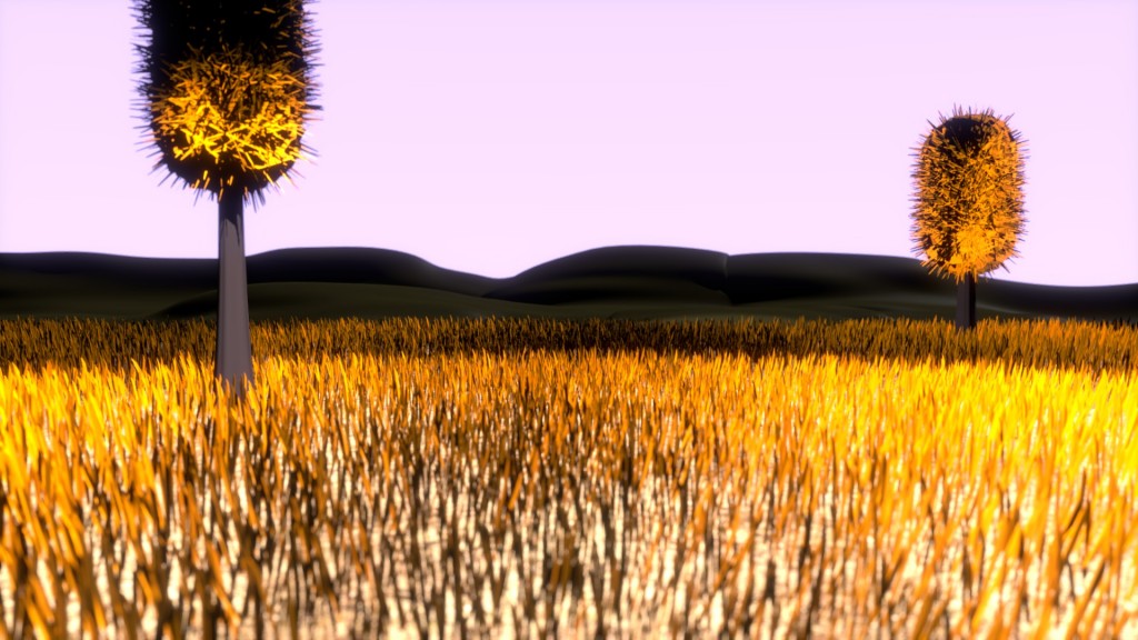 Grassy Field