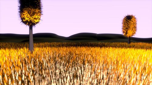 Grassy Field