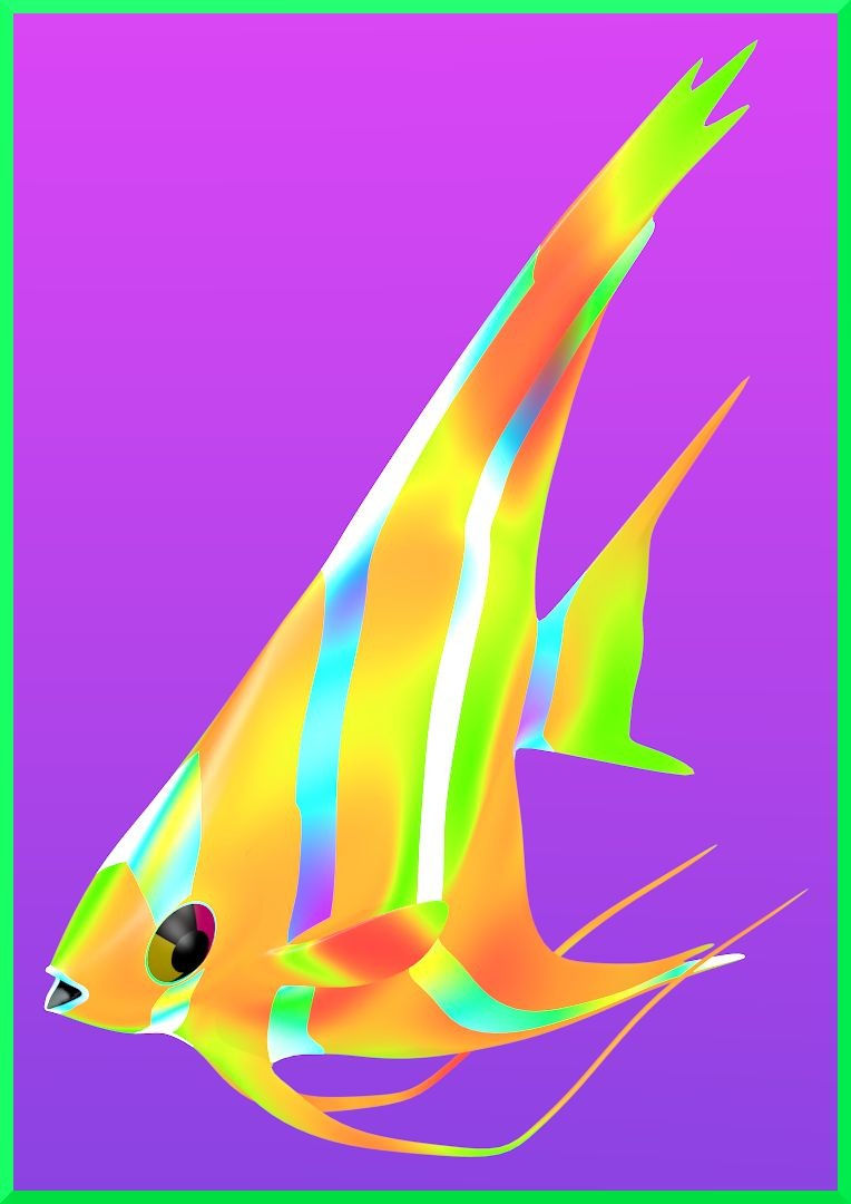 Angel Fish