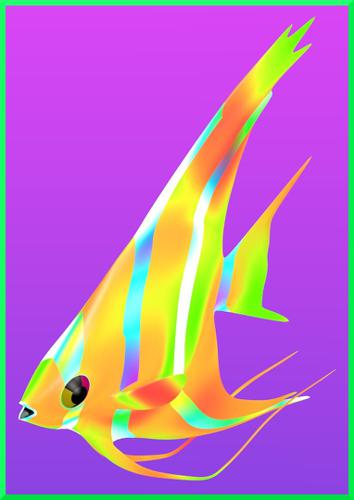 Angel Fish