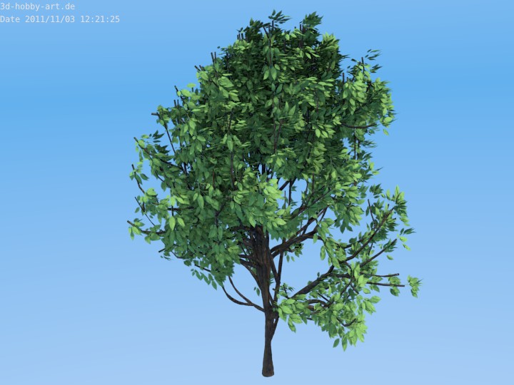 High Poly Tree