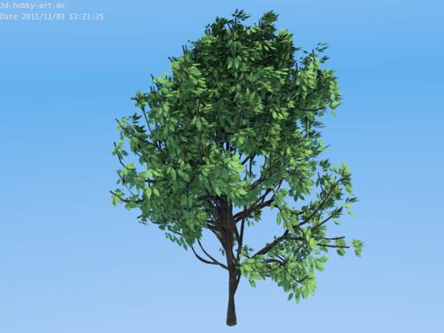 High Poly Tree