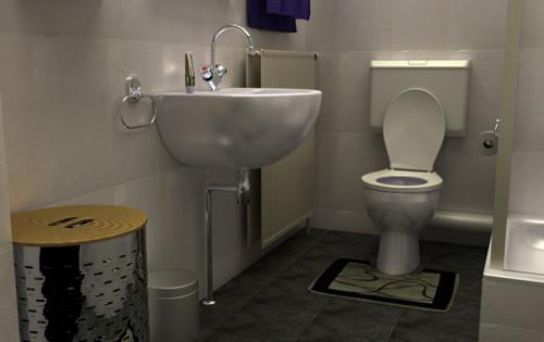 Bathroom Cycles