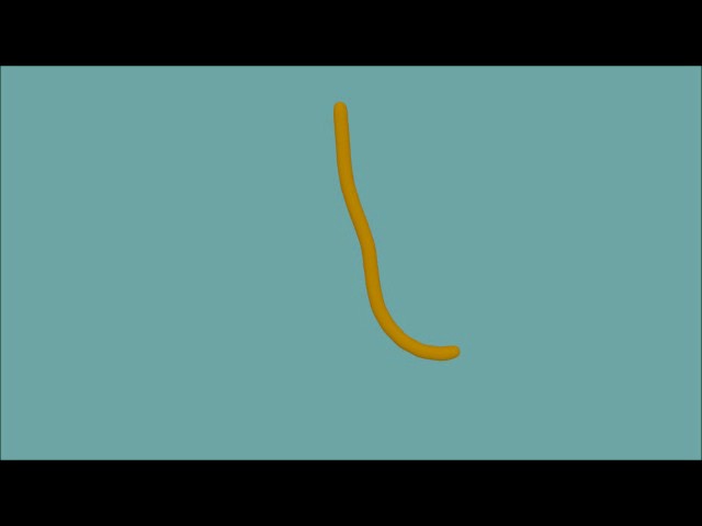 Dynamic Rope For BGE