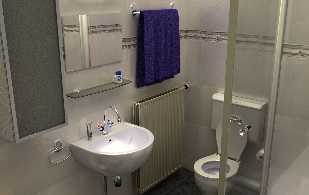Bathroom Cycles 2