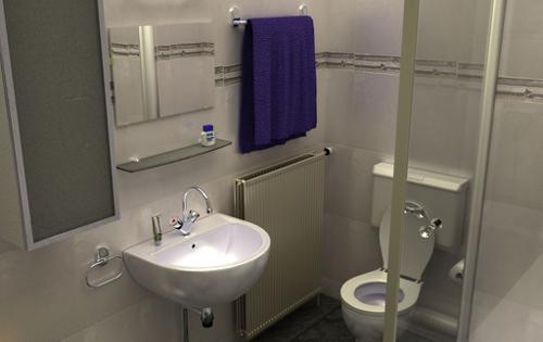 Bathroom Cycles 2