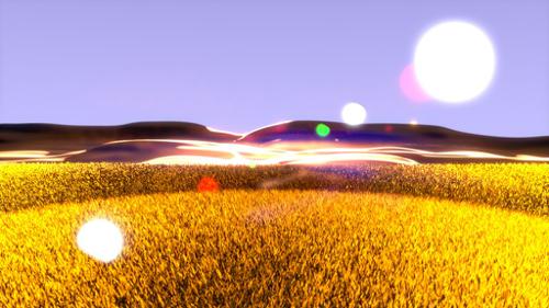 Grassy Field V 2.0