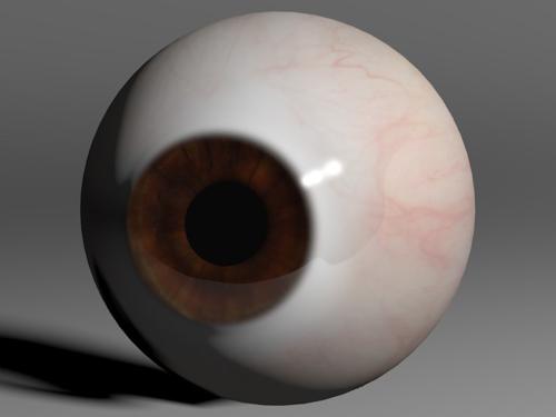 Realistic Human Eyeball (Brown)