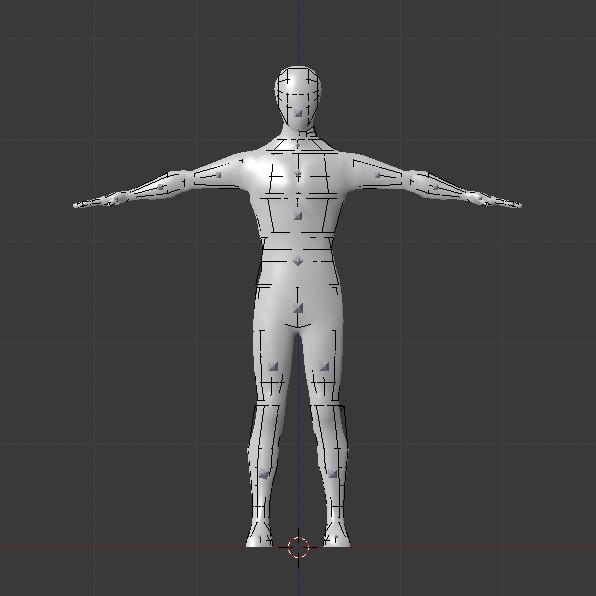 Skinned Ragdoll