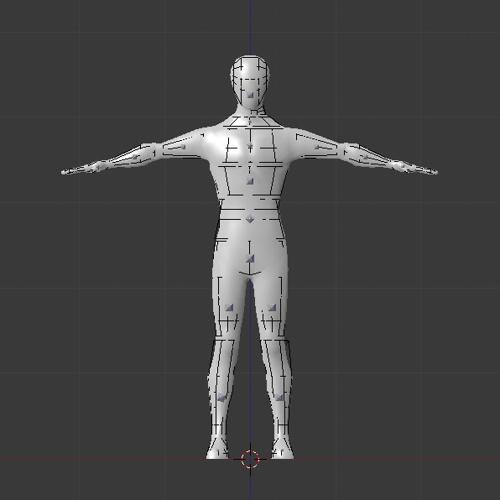Skinned Ragdoll