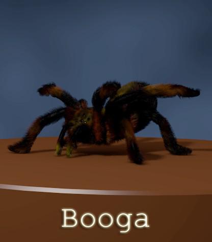 Booga