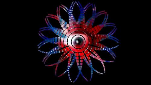 Array Test