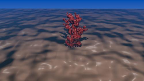 Sea Coral