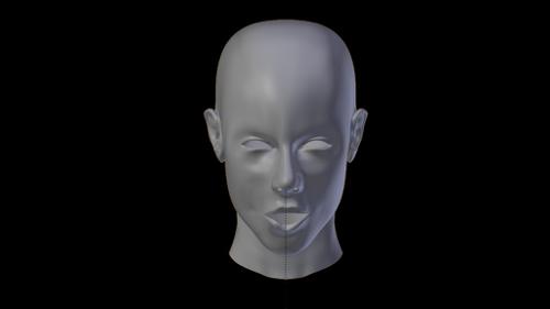 Facial Animation With Mocap Data