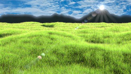 Nature Academy Grass