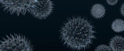 Virus