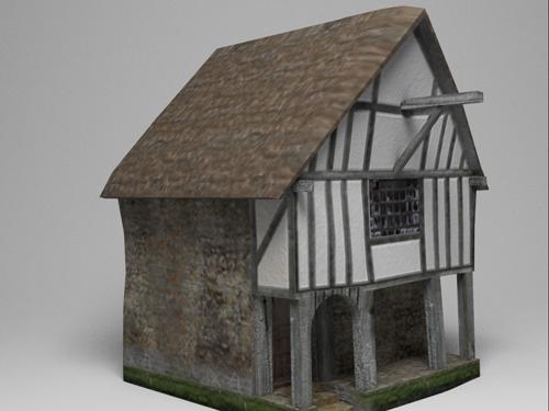 Medieval House