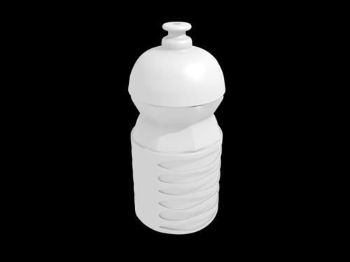 The Futute Bottle