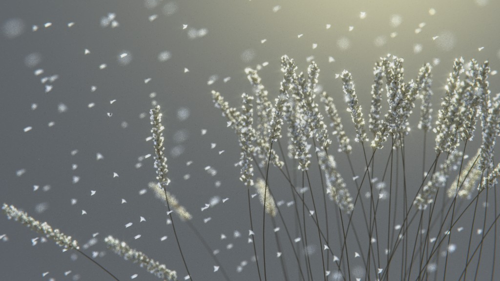 Frozen Earn Of Wheat Under The Snow