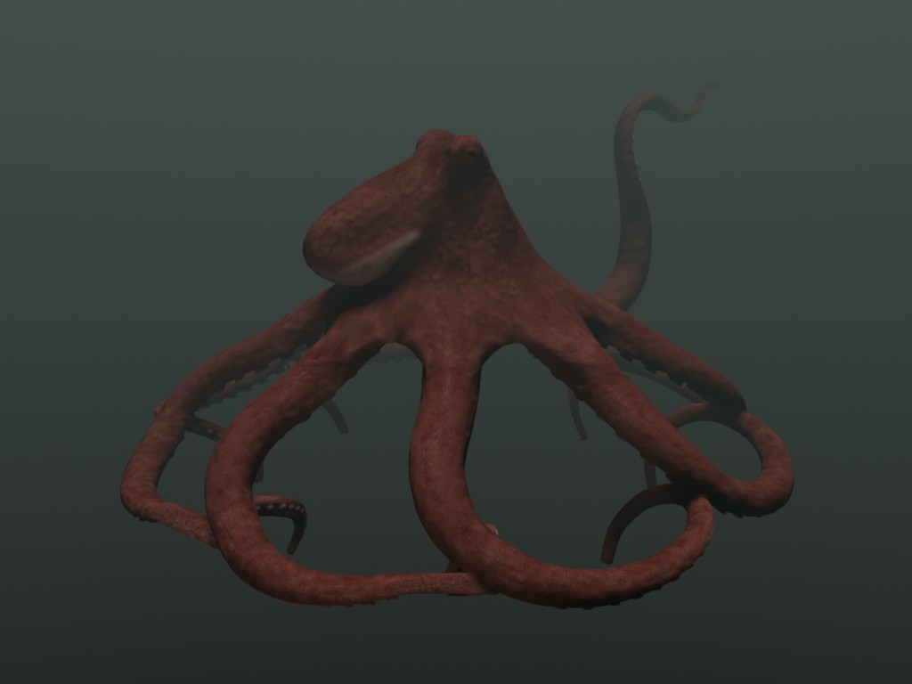Octopus