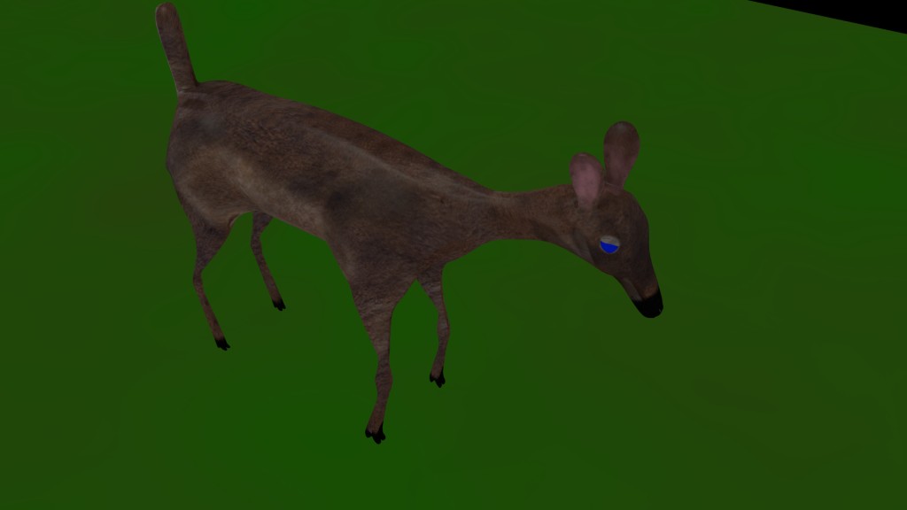Deer