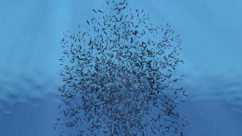 Swarm For Gelida Bird Attack