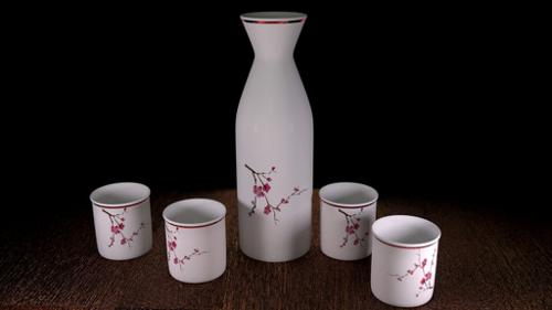 Simple Saki Set