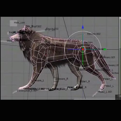 Wolf Rigged Animated and Game Ready
