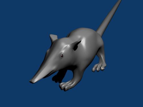 solenodonte