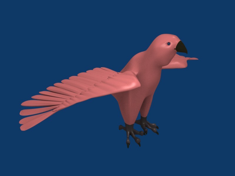 bird model