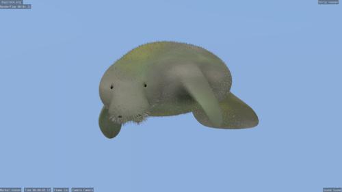 Manati/Manatee