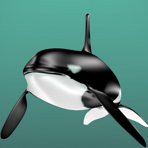 Orca