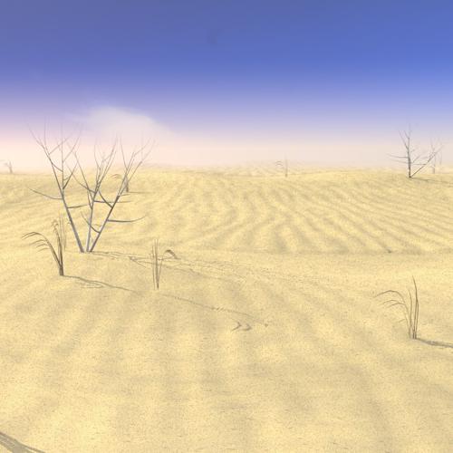 Sand Landscape