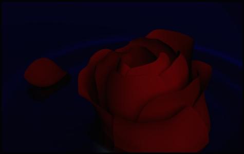 Lonely Rose