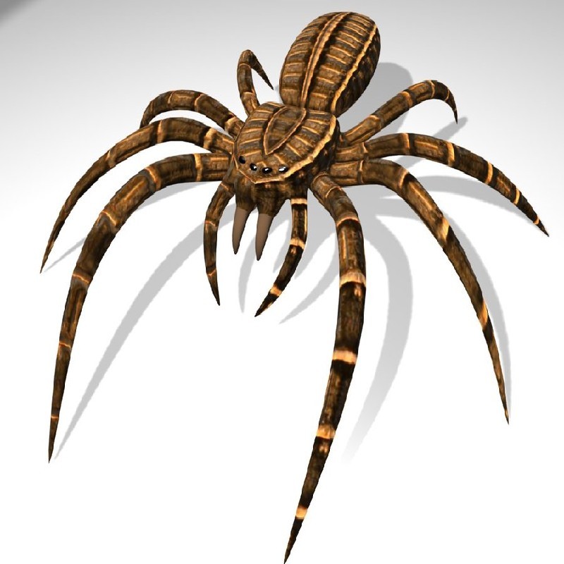 BGE Spider