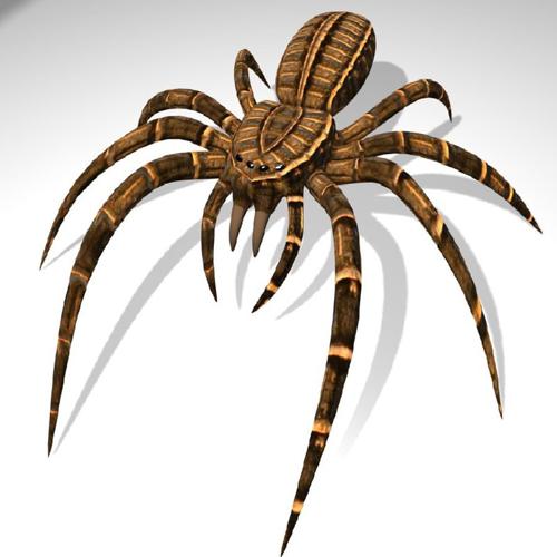 BGE Spider